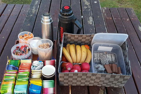 Surf Coast And Livewire Tour - Tourism Brisbane 6