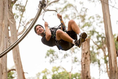 Surf Coast And Livewire Tour - Tourism Brisbane 5