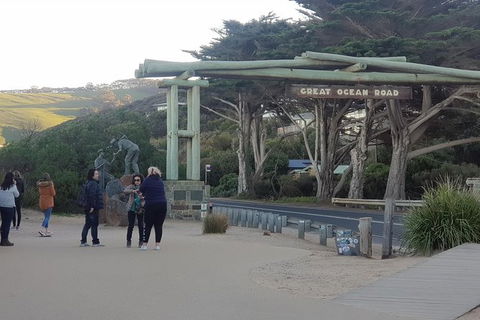 Surf Coast And Livewire Tour - Tourism Brisbane 4