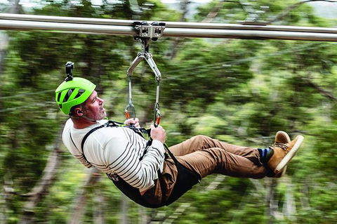 Surf Coast And Livewire Tour - Tourism Brisbane 2