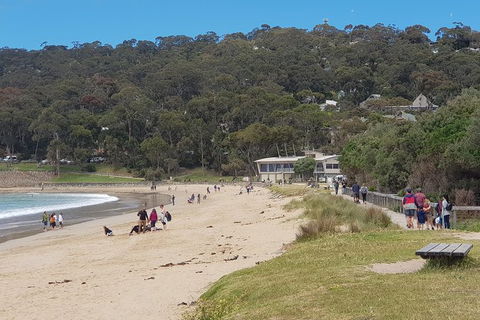 Surf Coast And Livewire Tour - Tourism Brisbane 13