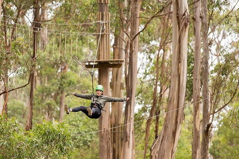 Surf Coast And Livewire Tour - Tourism Brisbane 10