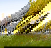 Overnight Daylesford and Macedon Ranges Gourmet Food Trail Tour from Melbourne - Brisbane Tourism