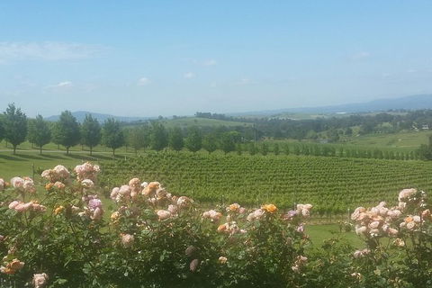 Ultimate Mornington Peninsula Food And Wine Small Group Tour - Brisbane Tourism 0