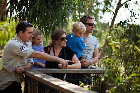Phillip Island Koala Conservation Centre: Entry Ticket - Tourism Brisbane 1