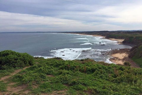 Half Day Phillip Island Woolamai Walking Tour - Tourism Brisbane 0