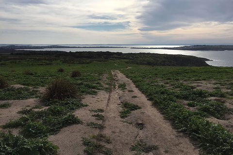 Half Day Phillip Island Woolamai Walking Tour - Tourism Brisbane 8