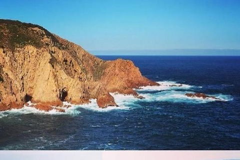Half Day Phillip Island Woolamai Walking Tour - Tourism Brisbane 6