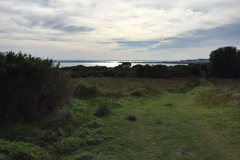 Half Day Phillip Island Woolamai Walking Tour - Tourism Brisbane 4
