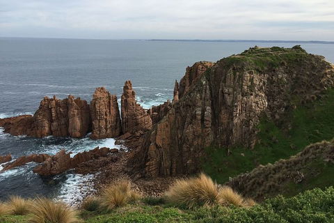 Half Day Phillip Island Woolamai Walking Tour - Tourism Brisbane 16