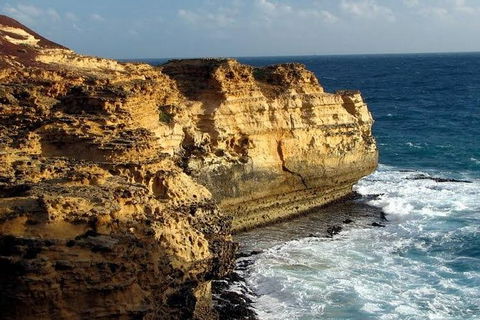 Half Day Phillip Island Woolamai Walking Tour - Tourism Brisbane 12