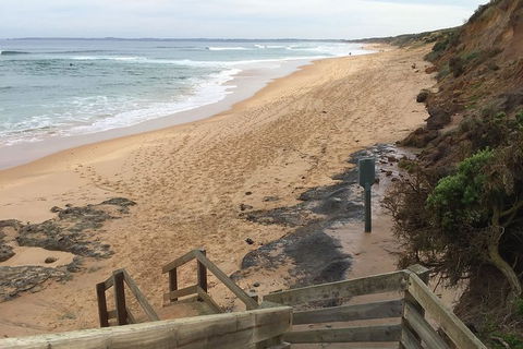 Half Day Phillip Island Woolamai Walking Tour - Tourism Brisbane 11