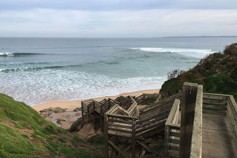 Half Day Phillip Island Woolamai Walking Tour - Tourism Brisbane 5