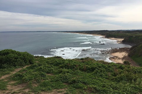 Half Day Phillip Island Woolamai Walking Tour - Tourism Brisbane 10