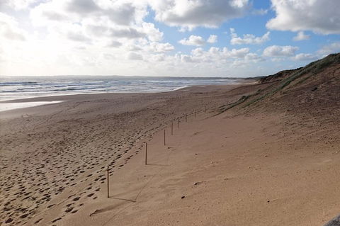 Half Day Phillip Island Woolamai Walking Tour - Tourism Brisbane 7