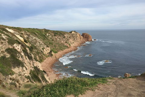 Half Day Phillip Island Woolamai Walking Tour - Tourism Brisbane 2