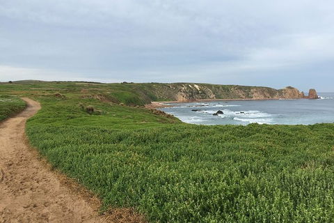 Half Day Phillip Island Woolamai Walking Tour - Tourism Brisbane 9