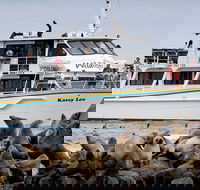 Phillip Island Seal-Watching Cruise - Tourism Brisbane
