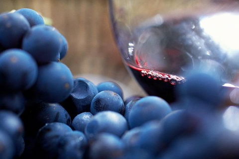 Small Group 6 Guests: Ultimate Yarra Valley Food And Wine - Mercedes Van - Tourism Brisbane 4