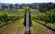 Small Group 6 Guests: Ultimate Yarra Valley Food And Wine - Mercedes Van - thumb 8