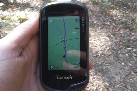 GPS Guided Walks In The Daylesford Forest - Brisbane Tourism 0