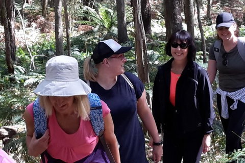 GPS Guided Walks In The Daylesford Forest - Brisbane Tourism 1