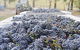 Luxury Chauffeured Yarra Valley Wine Tour With Lunch - For 2 - thumb 6