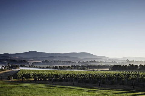 Luxury Chauffeured Yarra Valley Wine Tour With Lunch - For 2 - Brisbane Tourism 3
