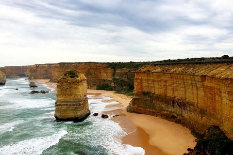 Ultimate Reverse Direction - 12 Apostles, Great Ocean Road - Small Group Tour - Tourism Brisbane 5