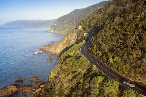 Ultimate Reverse Direction - 12 Apostles, Great Ocean Road - Small Group Tour - Tourism Brisbane 10