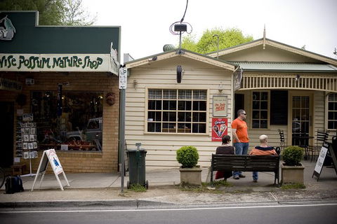 Half Day Puffing Billy Train Journey From Melbourne - Tourism Brisbane 10