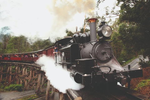 Half Day Puffing Billy Train Journey From Melbourne - Tourism Brisbane 3