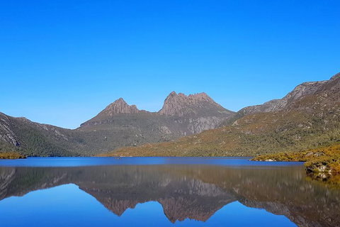 Tasmania 6 Day \'Tour In Circle\' - Brisbane Tourism 6