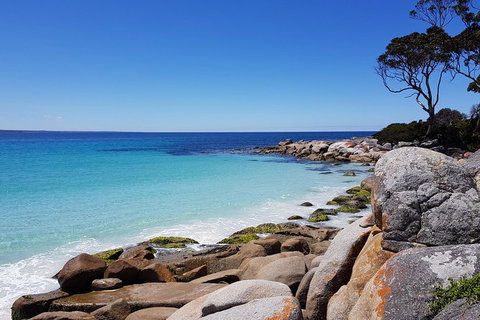 Tasmania 6 Day \'Tour In Circle\' - Brisbane Tourism 4