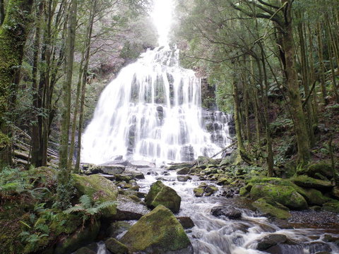 5-Day Best Of Tasmania Tour From Hobart - Brisbane Tourism 2