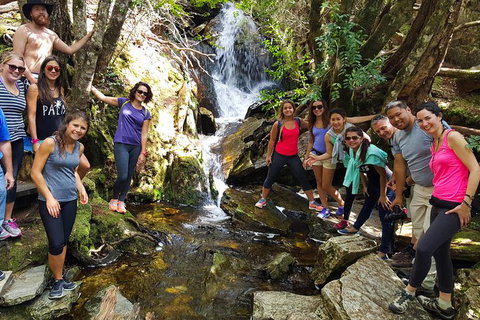 5-Day Best Of Tasmania Tour From Hobart - Brisbane Tourism 9