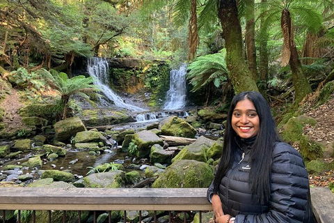 Day Tour In Mt. Field, Mt. Wellington, Bonorong Wildlife Sanctuary And Richmond - Tourism Brisbane 4