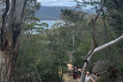 Wineglass Bay And Freycinet National Park Active Day Trip From Hobart - Tourism Brisbane 14