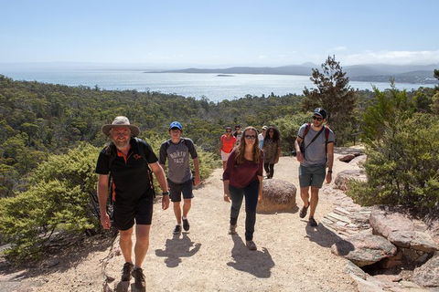 Wineglass Bay And Freycinet National Park Active Day Trip From Hobart - Tourism Brisbane 26