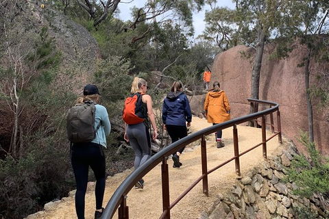 Wineglass Bay And Freycinet National Park Active Day Trip From Hobart - Tourism Brisbane 25