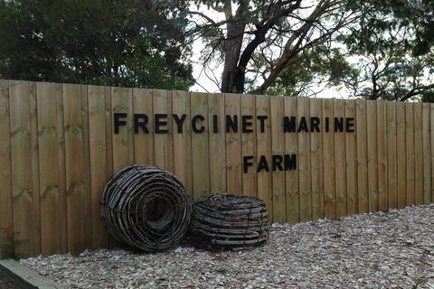 Wineglass Bay And Freycinet National Park Active Day Trip From Hobart - Tourism Brisbane 20