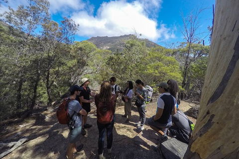 Wineglass Bay And Freycinet National Park Active Day Trip From Hobart - Tourism Brisbane 9