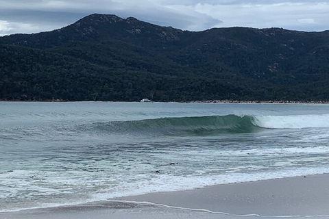 Wineglass Bay And Freycinet National Park Active Day Trip From Hobart - Tourism Brisbane 17