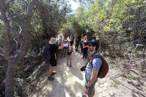 Wineglass Bay And Freycinet National Park Active Day Trip From Hobart - Tourism Brisbane 19