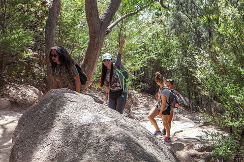 Wineglass Bay And Freycinet National Park Active Day Trip From Hobart - Tourism Brisbane 22