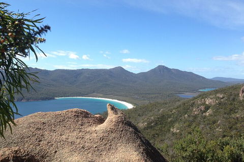 Wineglass Bay And Freycinet National Park Active Day Trip From Hobart - Tourism Brisbane 33