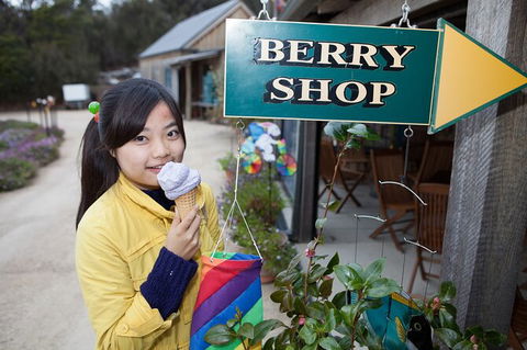 Wineglass Bay And Freycinet National Park Active Day Trip From Hobart - Tourism Brisbane 11