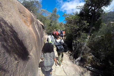 Wineglass Bay And Freycinet National Park Active Day Trip From Hobart - Tourism Brisbane 21