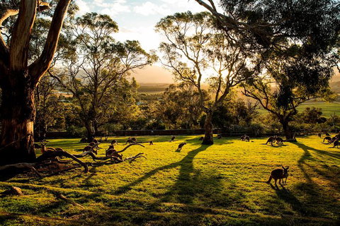 Shore Excursion: Five Of Hobart's Best In One Day - Brisbane Tourism 1