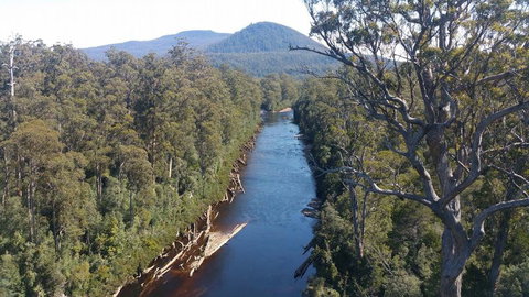 Small-group DayTour From Hobart: Hastings Caves, Huon Valley And Tahune AirWalk - Brisbane Tourism 3